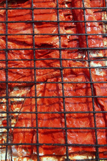 Grilled fish fillet red achiote sauce tikinchik Mayan Mexico recipe