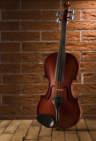 Old violin on table