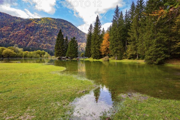 Yellow, orange and red leaves are illuminated by the sun. Picturesque shallow lake Fuzine of glacial origin. The lake shores are flooded. Wonderful autumn day. Northern Italy
