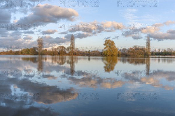 Flooded meadow after heavy rains. Autumn landscape. Bas-Rhin, Collectivite europeenne d'Alsace, Grand Est, France, Europe