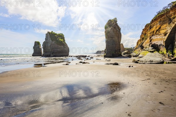 Low tide exposed the coastal strip of the ocean. Coastal cliffs. The Tongaporutu beach on the Pacific coast. North Island. New Zealand
