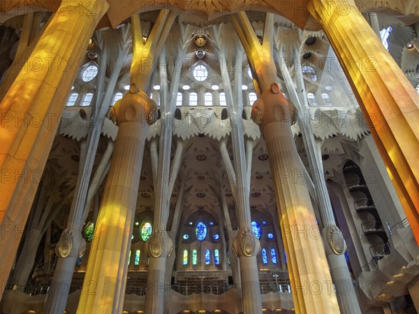 Columns and windows of the La Sagrada Familia, Barcelona, Catalonia, Spain, 10 October 2014, Europe