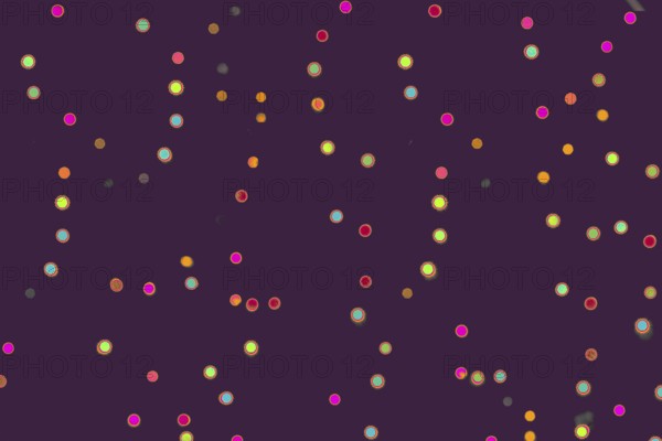 Background With Natural Bokeh And multi color lights