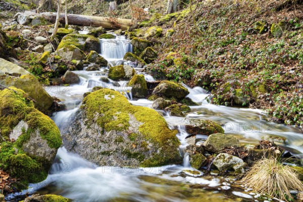 A view of the Wurmbach in the Harz near Thale in spring