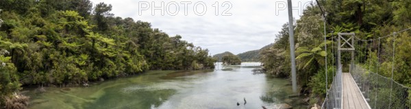 Panoramic view of suspension bridge over a river at Abel Tasman National Park, New Zealand, Oceania