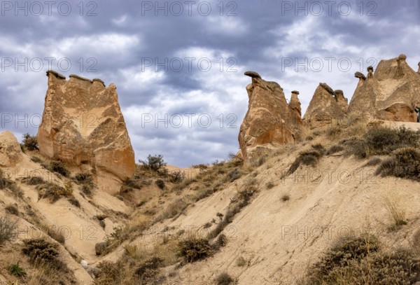 Rock Formation in the Devrent Valley in Cappadocia, Camel Valley, Turkey, Asia