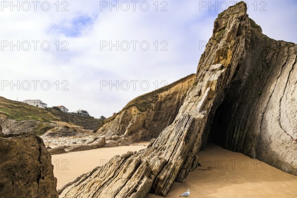 Adorable sea gull. Incredible rock formations, stones and boulders. Cantabria, Spain. The Playa de la Arnia beach. Picturesque coastal cliffs. Amazing geological formations amaze tourists