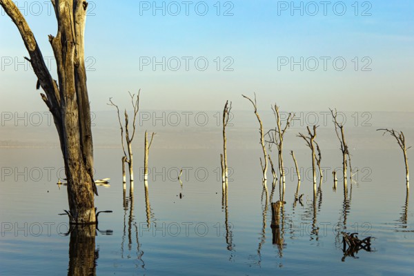 Lake Nakuru National Park. Central Kenya in East Africa. Journey to the exotic country of Kenya. East African Rift Valley. Sunrise