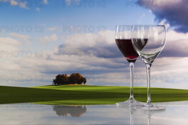 Autumn scenery and wine glasses with red wine