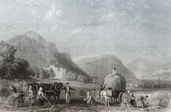 Grain harvest, Inveraray Castle, a country house near Inveraray, county of Argyll, Scotland, United Kingdom, Europe