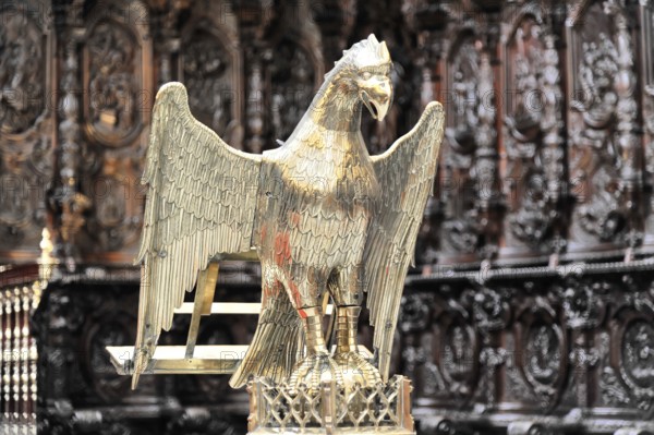 La Mezquita, Mosque, Cathedral of Cordoba, Cordoba, Andalusia, Spain, Europe, Golden eagle serves as an ornate lectern, richly decorated and worked in detail, Europe