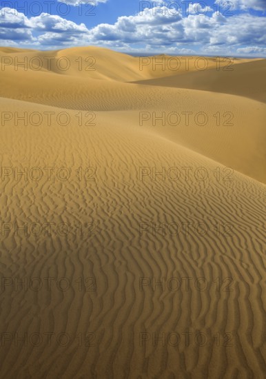 Desert sand dunes in Maspalomas Oasis Gran Canaria at Canary islands