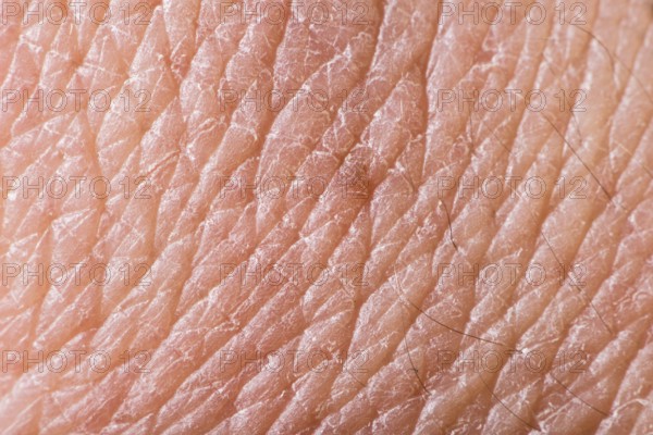 Texture of human skin. Extreme close up macro shot