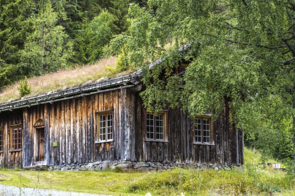 Traditional Timber house with grass roof in the Setesdal in Norway in natural landscape. Old Timber house in the Setesdal in Norway in natural landscape