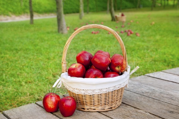 Basket of red apples on wood floor with green field background