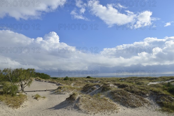 Sandhammaren is a Swedish coastal strip on the Baltic Sea. It is the southeasternmost point of the Swedish Baltic Sea coast. Sandhammaren nature reserve. Sandhammaren is a Swedish coastline of the Baltic Sea. He is the most south-eastern point of the Swedish coast.nature reserve Sandhammaren