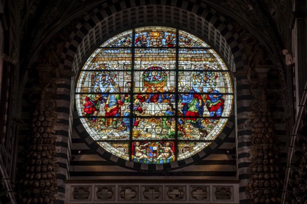 SIENA, ITALY, SEPTEMBER 23, 2023, Rich ornate window of the nave of the Siena Cathedral in Italy, showing the Last Supper of Christ
