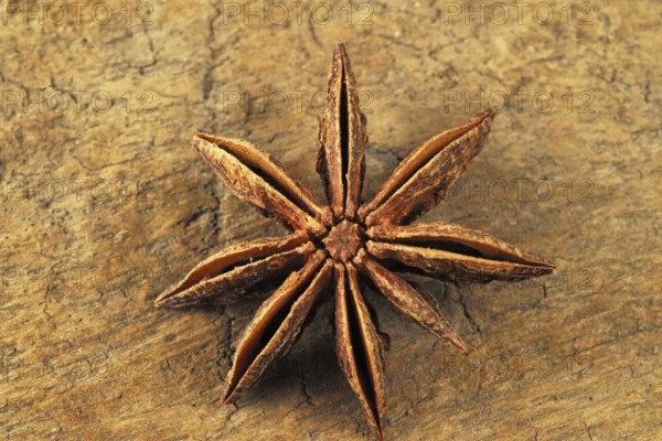 Star anise, mumbai, maharashtra, india, asia