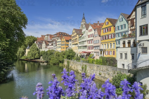 Neckar, Flowers at the Eberhardsbrücke, Old buildings, Neckar front, Old Town, Tübingen, Baden-Württemberg, Germany, Europe