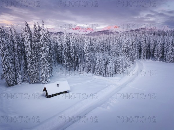 Snow covered winter forest landscape aerial view with pines and mountains in the background. Cold morning sunrise with alpenglow