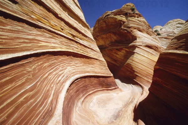 Sculpted sandstone cliffs of the Paria Wilderness, The Wave, Arizona, USA, Arizona, USA, North America
