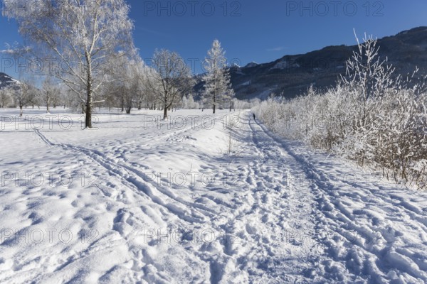 Winter, snow, cross-country skiing, hiking, winter hike, mountains, Hohe Tauern, Pinzgau