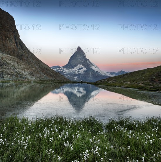 Matterhorn reflection in Riffelsee with flowers, Zermatt, Alps, Switzerland, Europe
