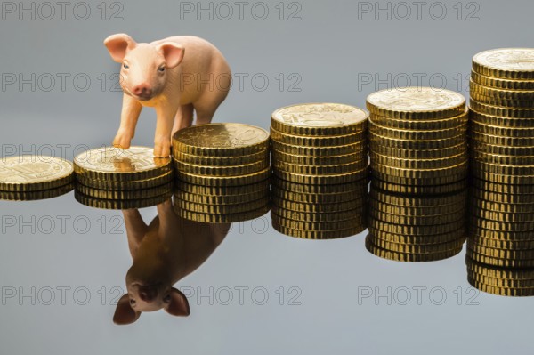 A pig stands on a pile of coins. Rising costs for animal feed in agriculture. Falling yields of pork