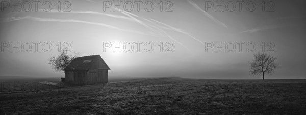 Panorama, morning mood in a misty haze