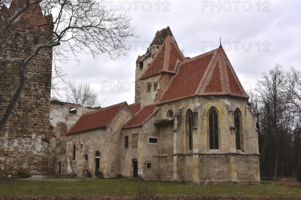 Pottendorf castle ruins, Austria, Europe
