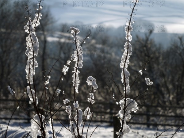 A close up of snow and ice frozen on to twigs against a blurred background of snow covered winter trees and hills