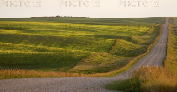 Prairie Scene Saskatchewan summer crop harvest Canada