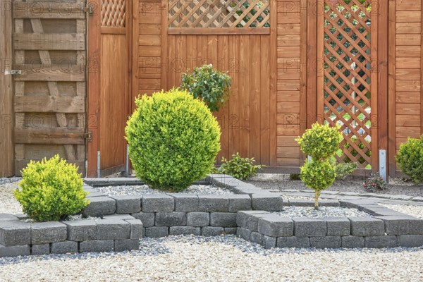 Ornamental Plants in Yard with Wooden Fence Barsel, Germany, Europe