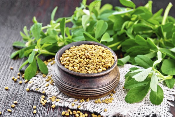 Fenugreek seeds in a bowl on a burlap napkin with green leaves on dark wooden board background
