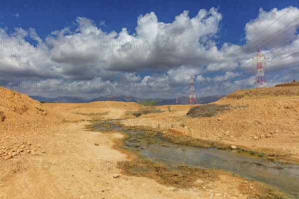 Landscape Oman, Raysut Waste Water Treatment Plant, Tree, Palm, Building, Steppe Eagle, Aquila nipalensis, Aigle des steppes, ¡guila Esteparia, Biotope, Raysut Waste Disposal, Salalah, Dhofar, Oman, Asia