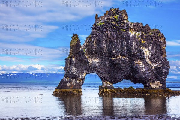 Northwest Iceland. Hvitserkur - basalt rock in the form of a huge scary monster. The concept of extreme northern tourism