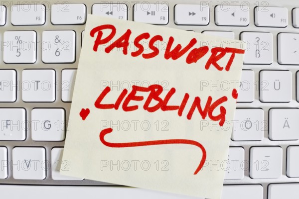 A note on the keyboard of a computer as a reminder: Password favourite Austria