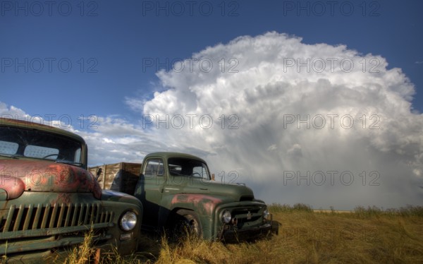 Vintage Farm Trucks Saskatchewan Canada weathered and old