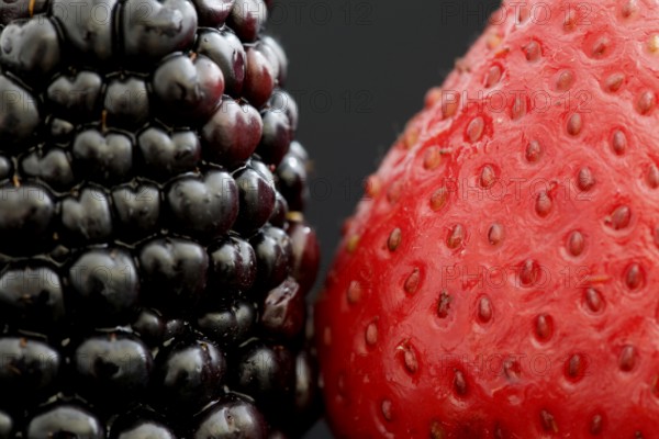 Strawberry and Blackberry Close up macro studio