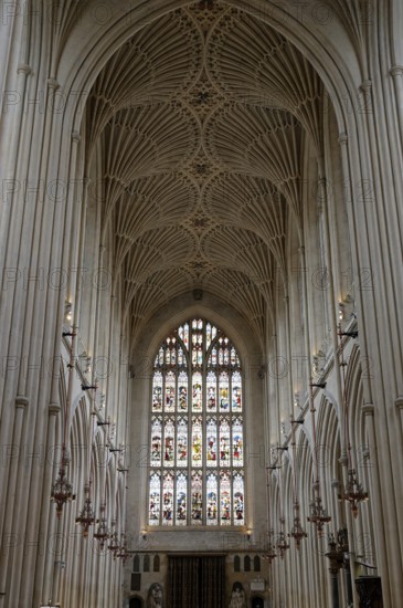 Interior view, ceiling, stained glass window, Bath Abbey, Bath, England, Great Britain