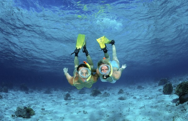 Two woman snorkelling, Indian Ocean, Maldives, Asia