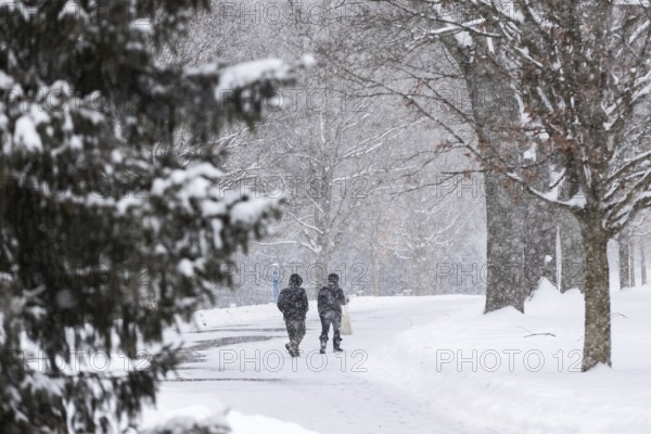 Heavy snow squalls of lake-effect snow falls over Springbank Park in London, Canada. Environment Canada predicted 25-35cm of snow would fall over the region in 24 hours in London, Ontario, Canada, North America