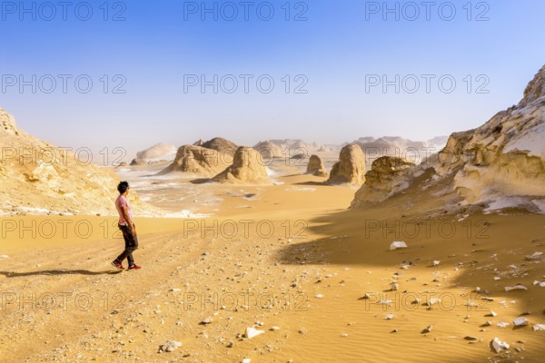 White Desert at Farafra in the Sahara of Egypt. Africa