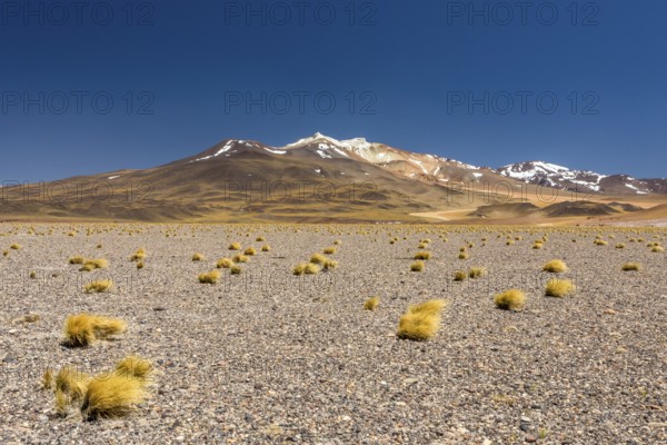 Atacama Desert, Chile. Salar Aguas Calientes. Lake Tuyacto. South America