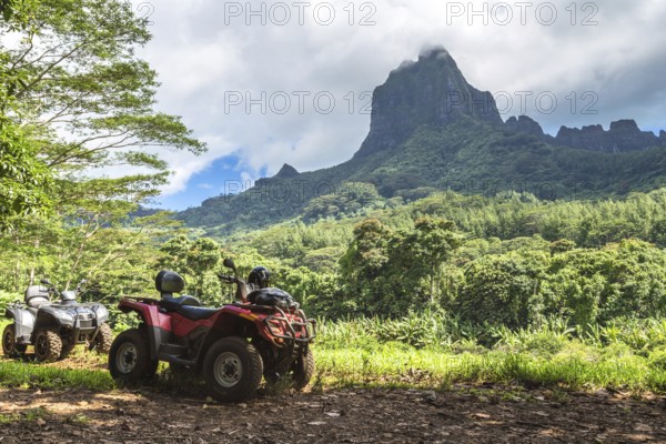 Moorea Island in the French Polynesia
