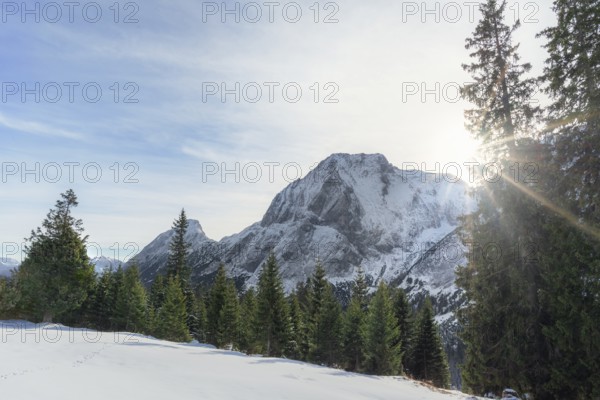Winter scenery with the sun shining over the snowy Austrian Alps, the green forest and white valley, in Ehrwald, Austria, in December, Europe