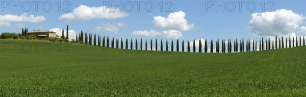 Tuscany landscape panorama with farmhouse and cypresses at sunny day. Province of Siena, Italy, Europe