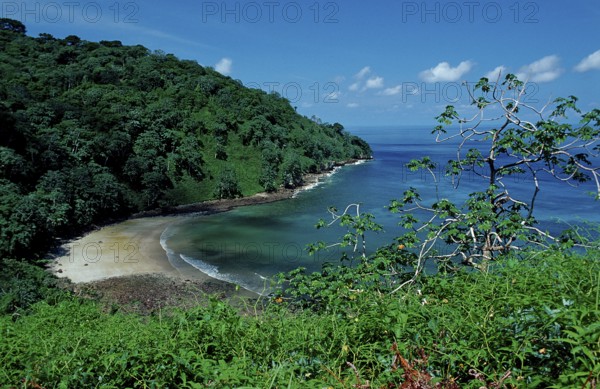 Cocos Island, Costa Rica, South America, Central America