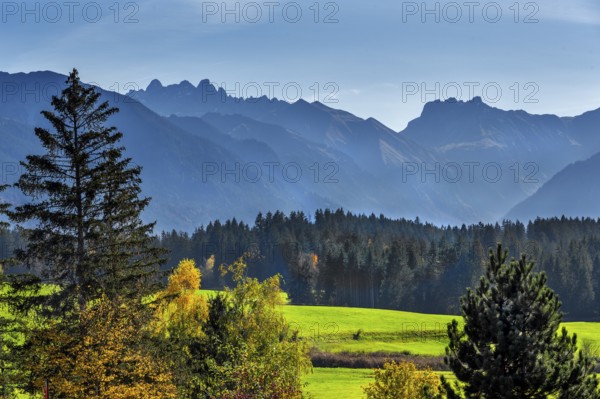 Green meadows, Allgäu Alps and mixed forest near Ofterschwang, Allgäu, Bavaria, Germany, Europe