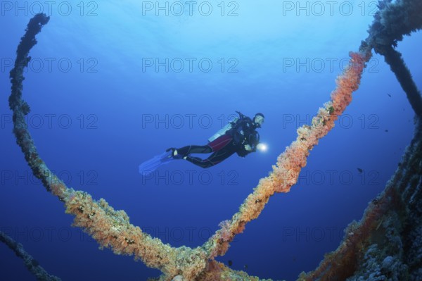 Diver at Numidia Wreck, Brother Islands, Red Sea, Egypt | Scuba Diver at Numidia Wreck, Red Sea, Egypt, Africa